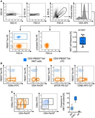 Porcine Invariant Natural Killer T Cells: Functional Profiling and Dynamics in Steady State and Viral Infections